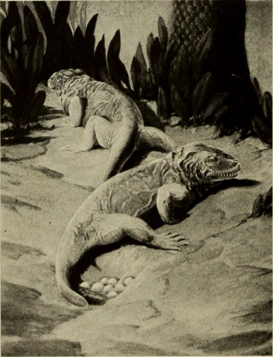 Alternative Extinction Scenarios (image credits: wikimedia)