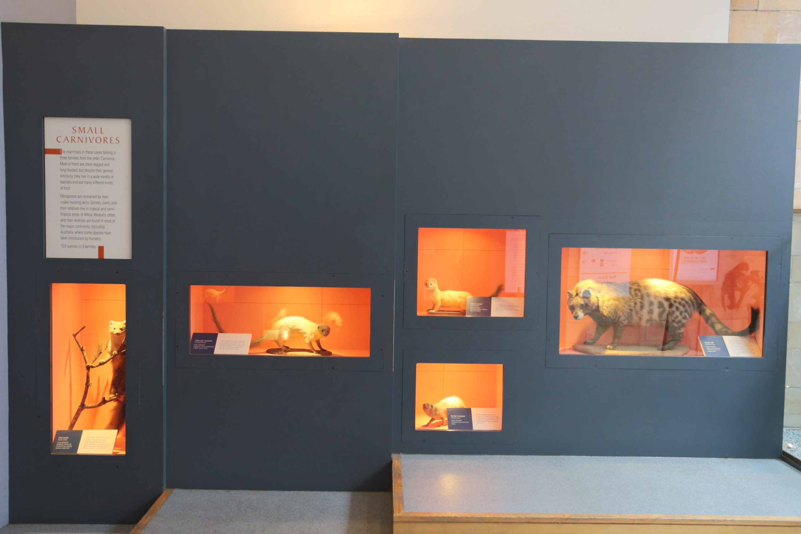 The Survivors Tell Their Story (image credits: wikimedia)