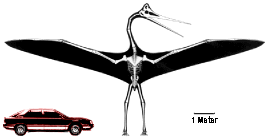 Life in the Late Cretaceous (image credits: wikimedia)