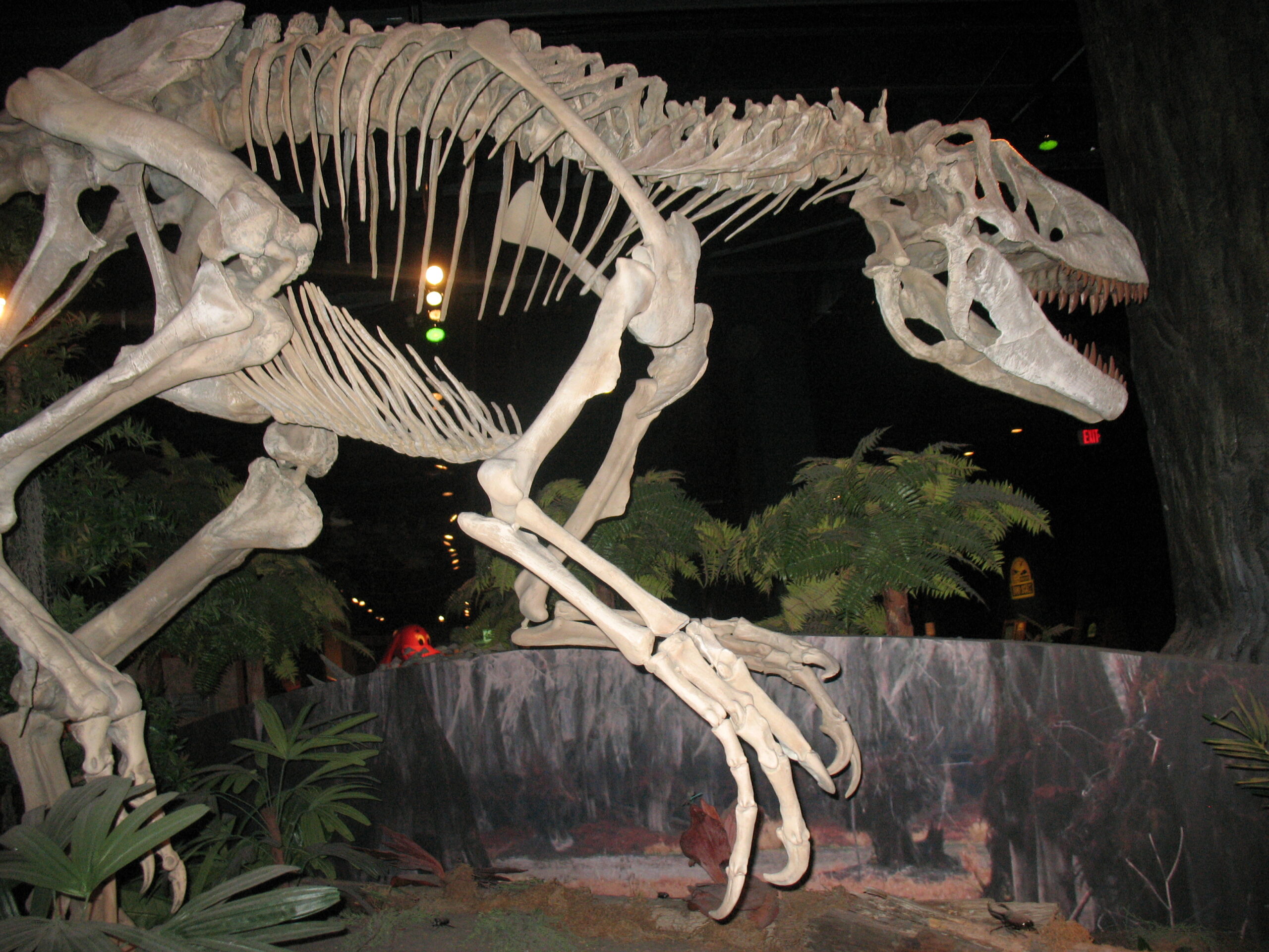 T-Rex Arms: Useless or Underestimated? (image credits: wikimedia)