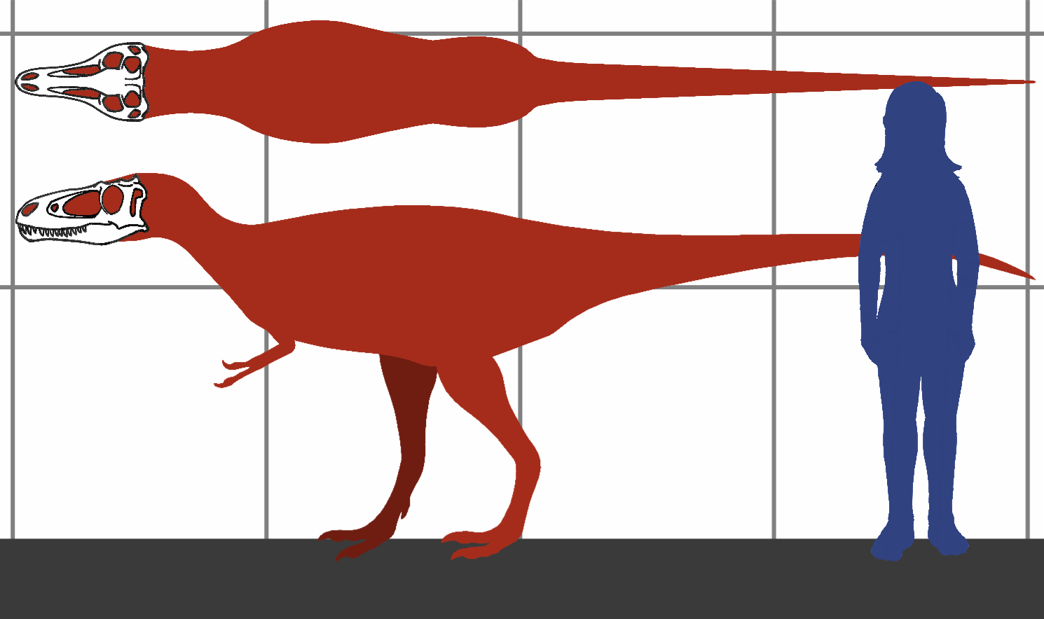 Triceratops: The Gentle Giant That Wasn't (image credits: wikimedia)