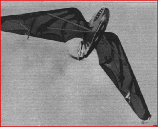 Pterodactyls: The Flying Reptiles That Couldn't Really Fly (image credits: wikimedia)
