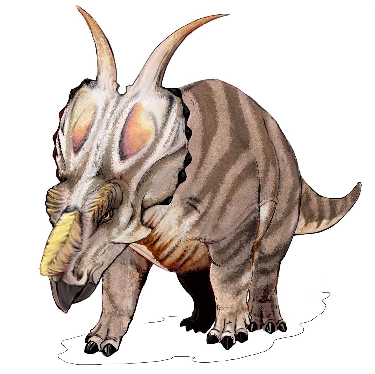 The Solitary Dinosaur Myth (image credits: wikimedia)