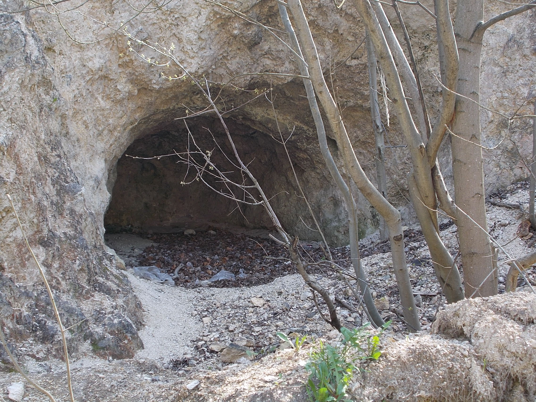 Modern Threats and Conservation Efforts (image credits: wikimedia)