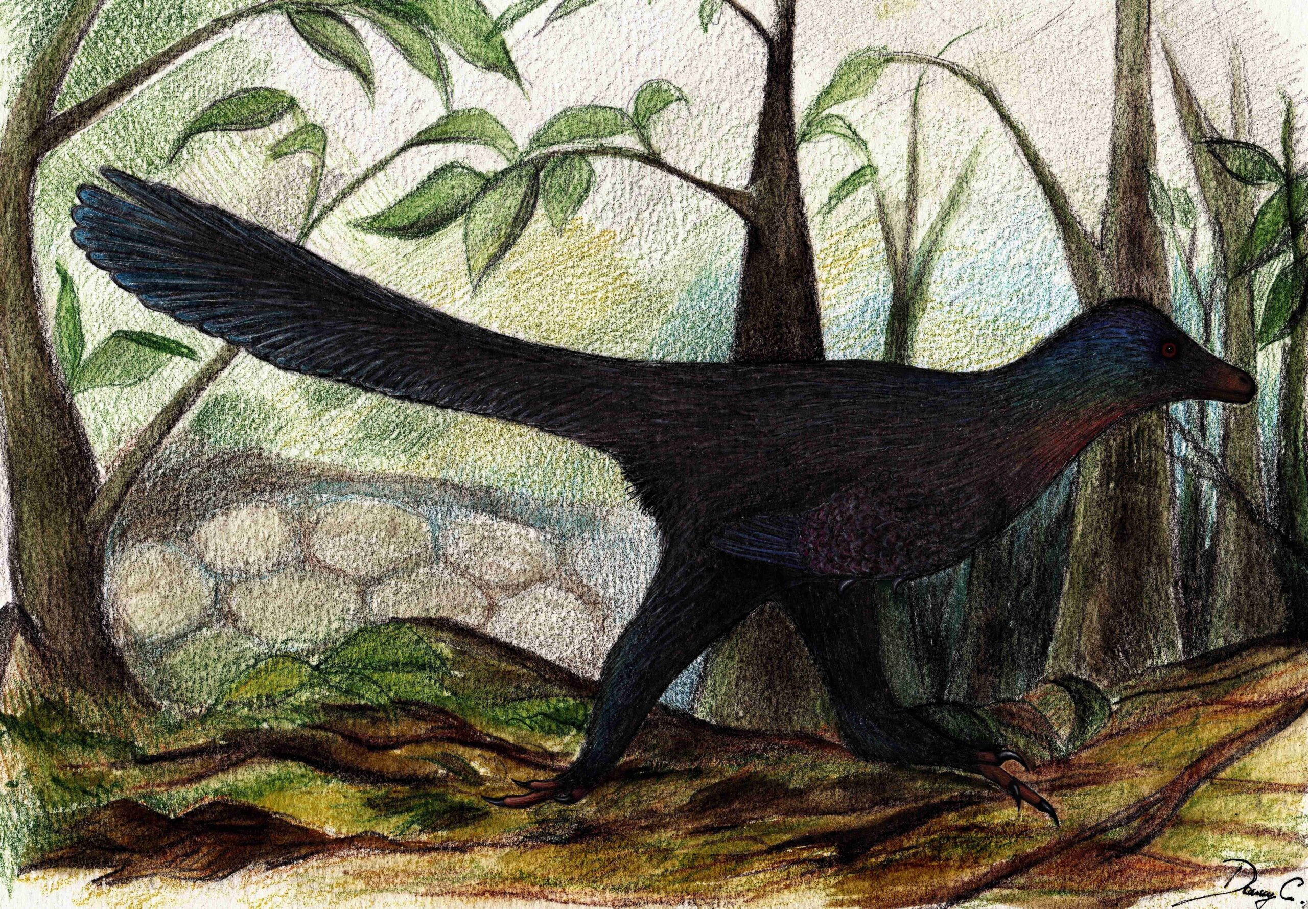 The Speed Question: Slow Giants or Swift Predators? (image credits: wikimedia)