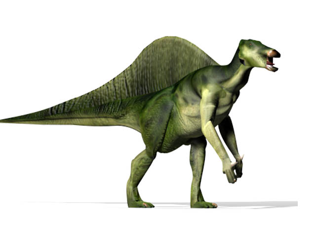 Size Matters: A Gentle Giant (image credits: wikimedia)