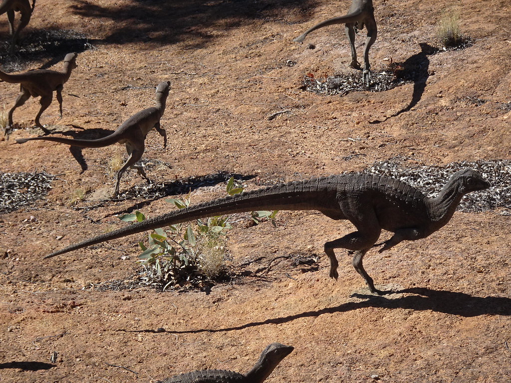 Pack Hunting: Strength in Numbers (image credits: flickr)
