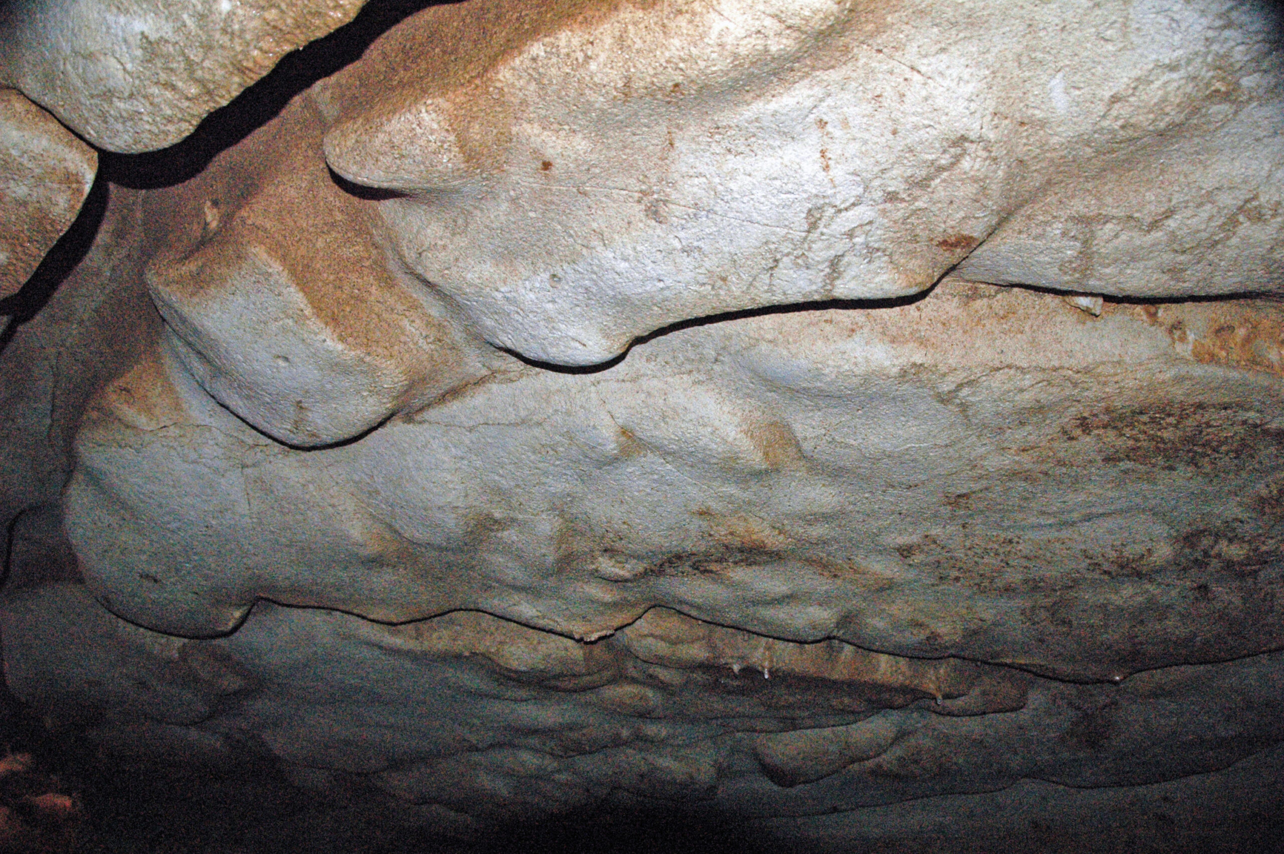 The Calcium Cycle: How Bones Return to Earth (image credits: wikimedia)