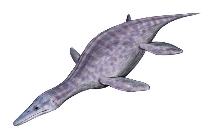 Pliosaurs: The Ultimate Predators (image credits: wikimedia)