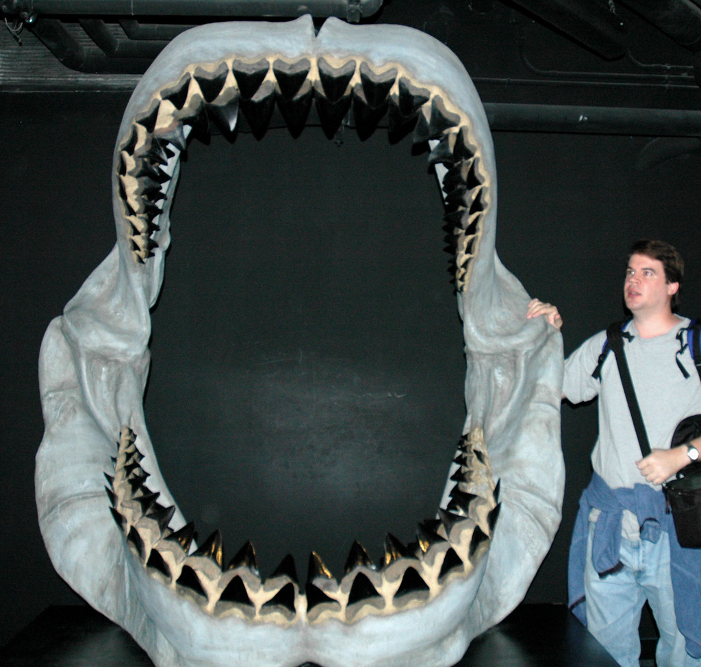 Ancient Giants That Ruled the Seas (image credits: flickr)