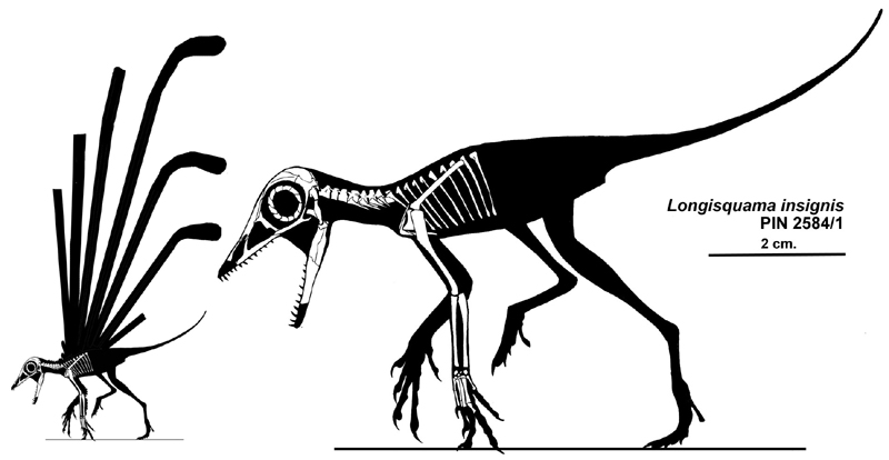 The Discovery That Changed Everything (image credits: wikimedia)