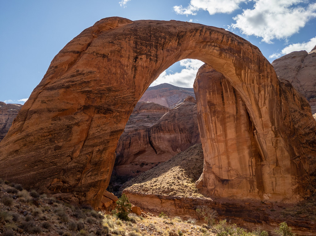 Life Among Giants: Exploring Jurassic Habitats