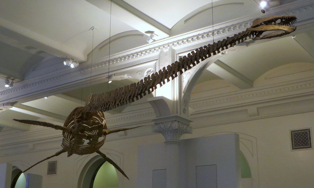 Swimming Dinosaurs in Ancient Arctic Seas (image credits: flickr)