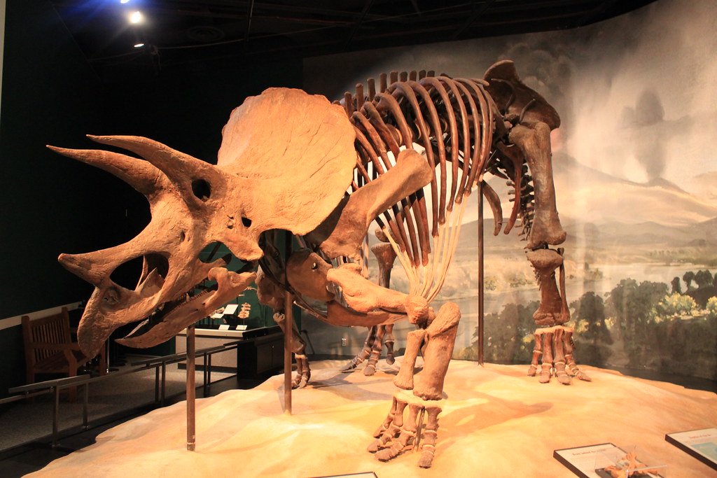 How Climate Change Drove Arctic Dinosaur Evolution (image credits: flickr)