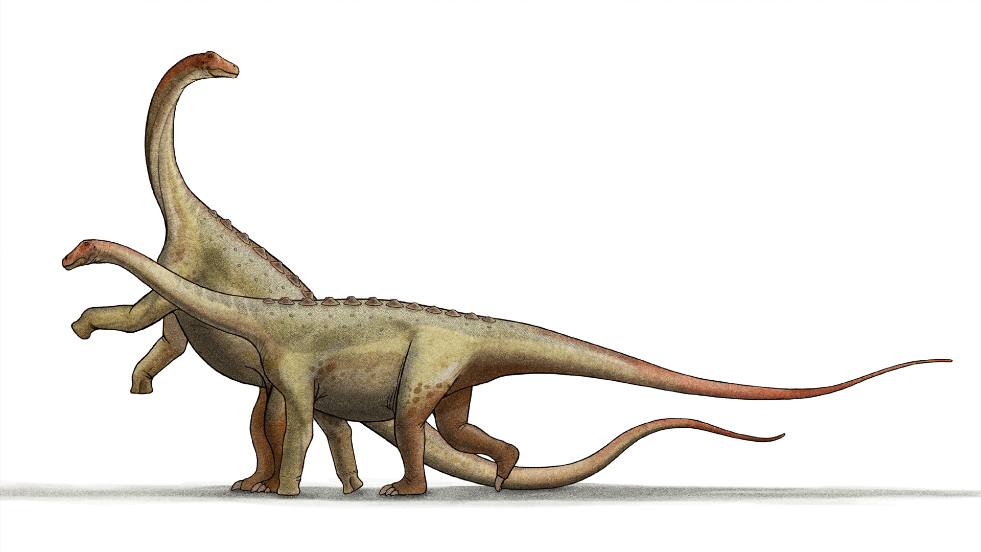 The Timing Factor: When 66 Million Years Ago Wasn't So Bad (image credits: wikimedia)