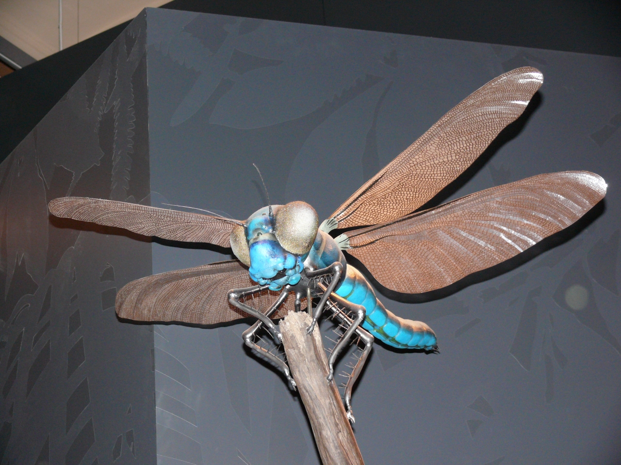 Ancient Mayflies: Ephemeral Giants (image credits: wikimedia)
