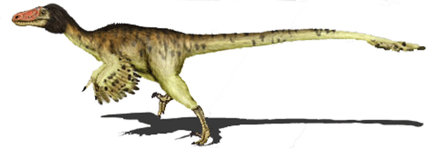 The Rise of Feathered Dinosaurs (image credits: wikimedia)