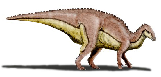 Duck-Billed Innovators: Hadrosaur Sophistication (image credits: wikimedia)