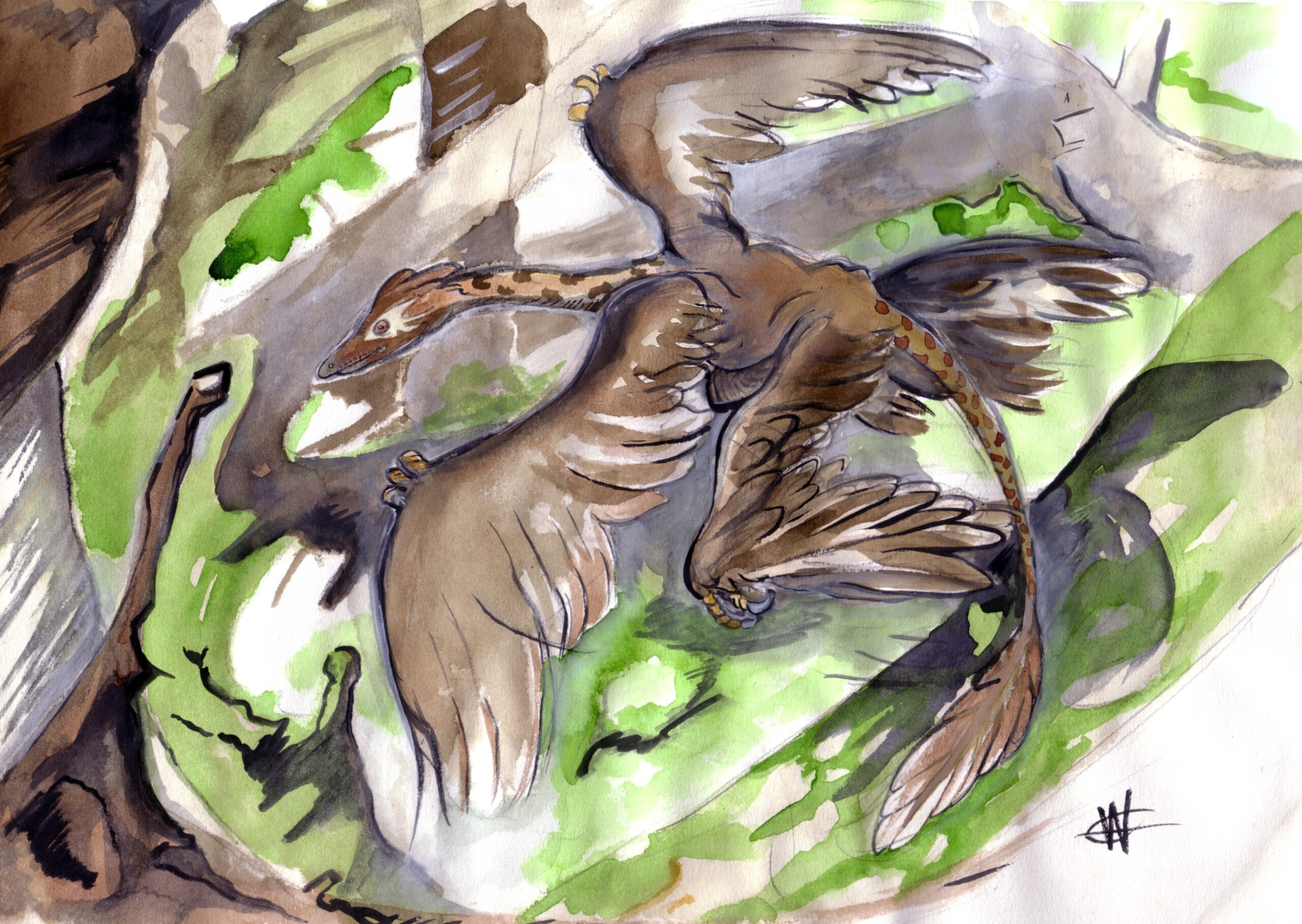 The Smallest Giants: Microraptor and Miniature Dinosaurs (image credits: wikimedia)