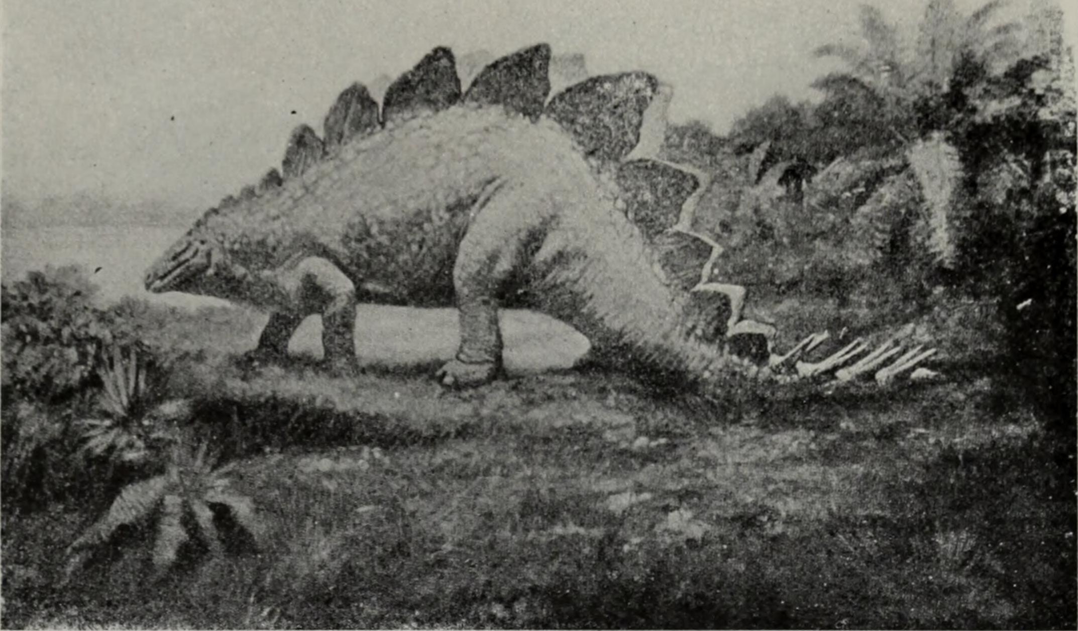 Global Dinosaur Empires: Continental Differences (image credits: wikimedia)