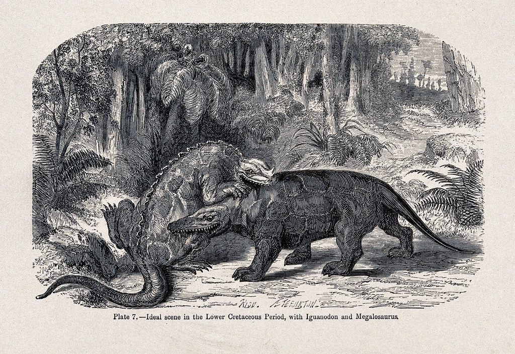 The Final Chapter: Late Cretaceous Diversity (image credits: rawpixel)