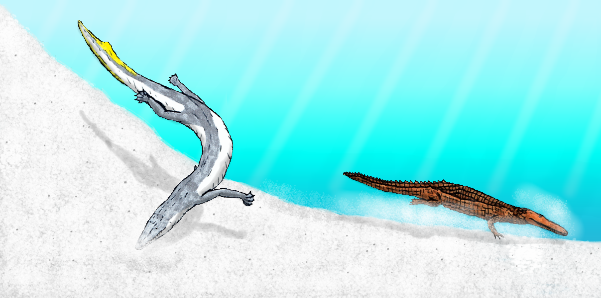 Ecosystem Engineers of the Ancient Ocean (image credits: wikimedia)