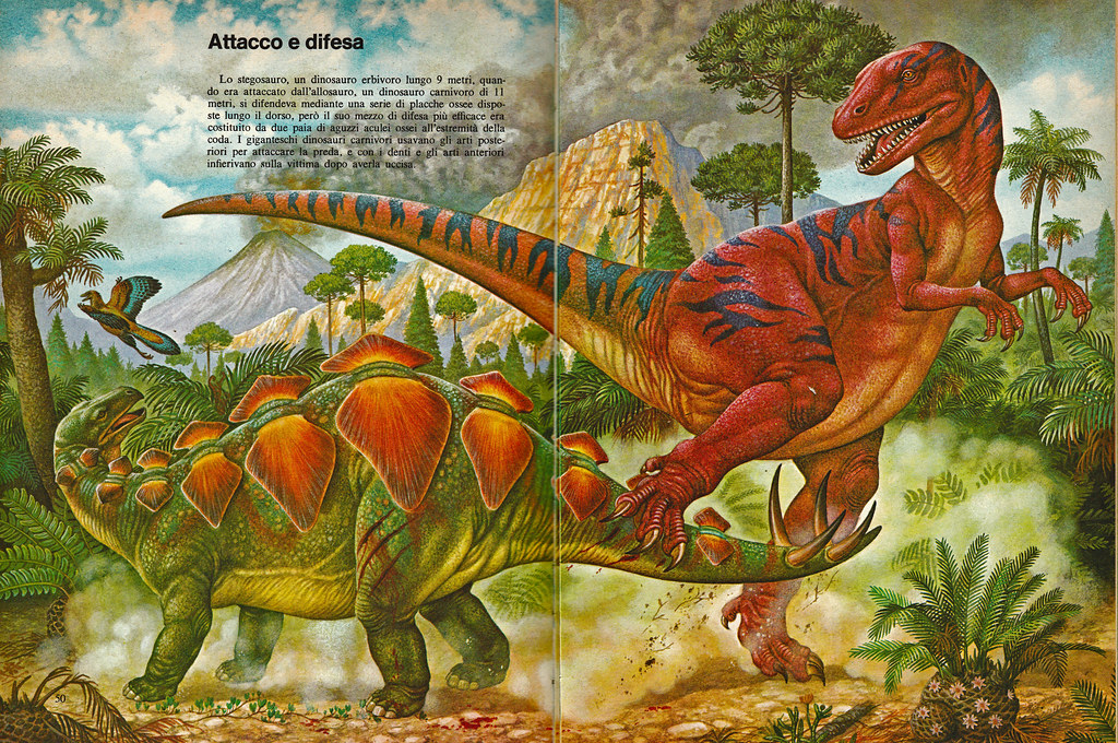 Survival Rates and Success Stories (image credits: flickr)