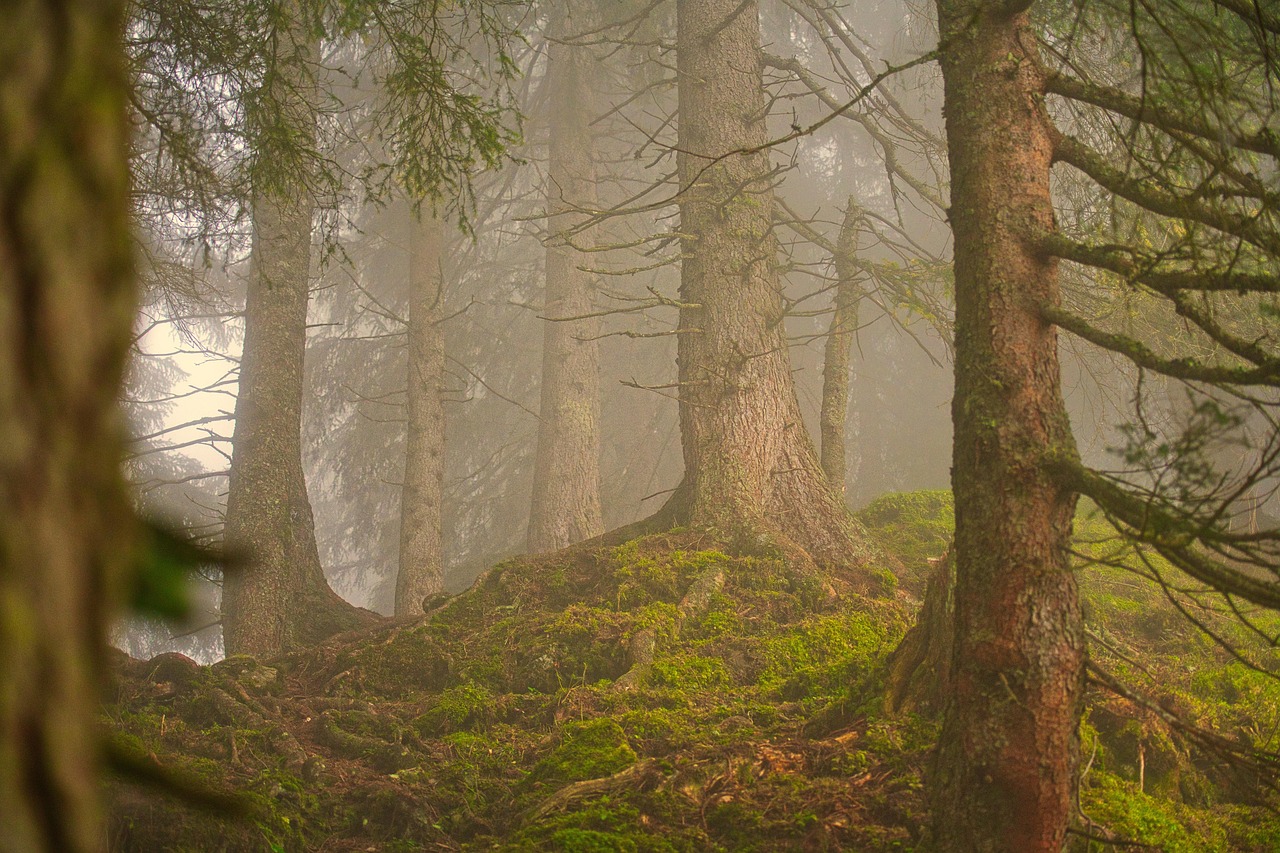 Impact on Prehistoric Ecosystems (image credits: pixabay)