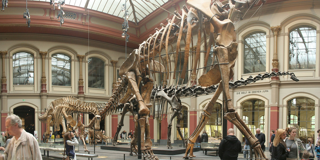 Energy Economics of Gigantism (image credits: flickr)