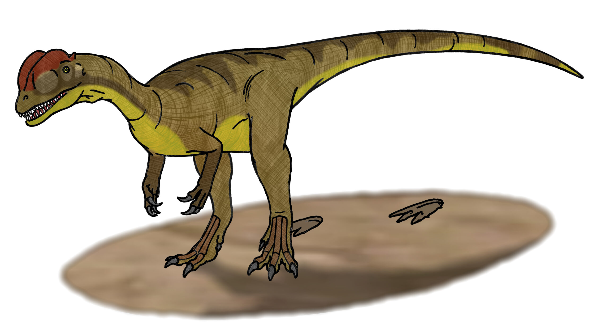 The Dilophosaurus Disaster: How One Film Created a Myth (image credits: wikimedia)