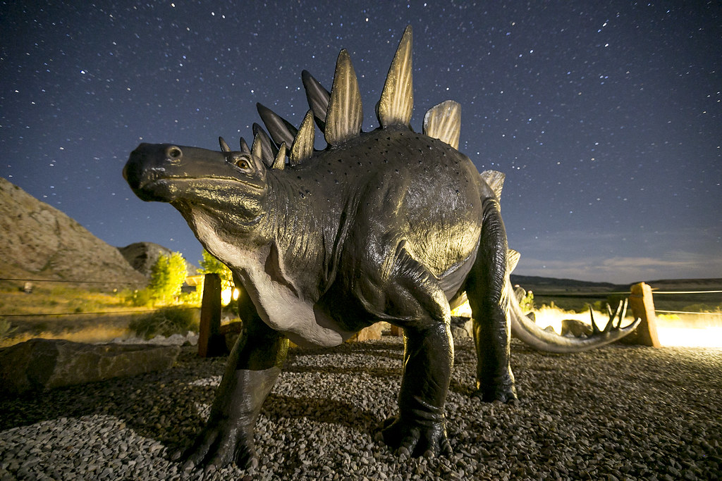 The 100-Year Debate About Stegosaurus' Plates: Display or Thermoregulation?