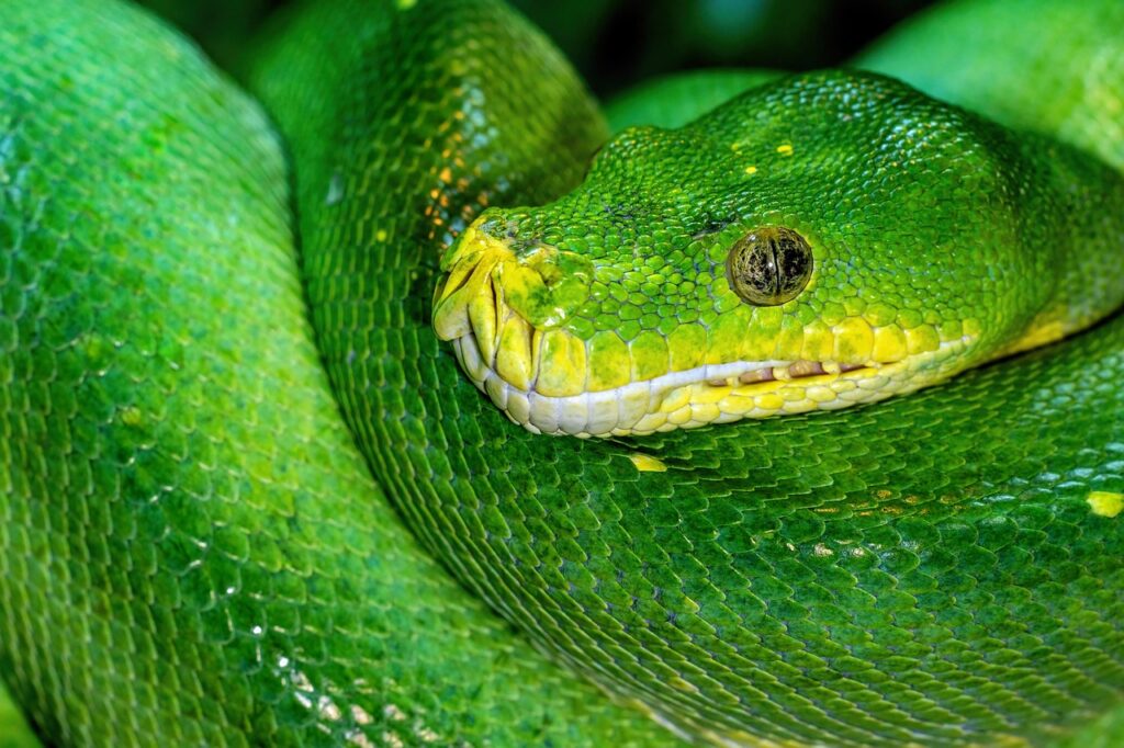 Prehistoric Snake Habitats and Ecosystems
