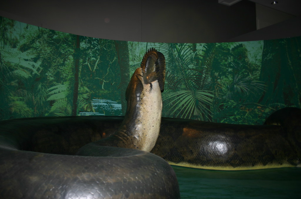 The Food Chain Kings: What Did These Giants Eat? (image credits: flickr)