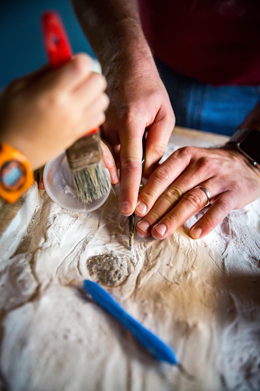 Interactive Fossil Excavation Kits for Home Discovery (image credits: pixabay)