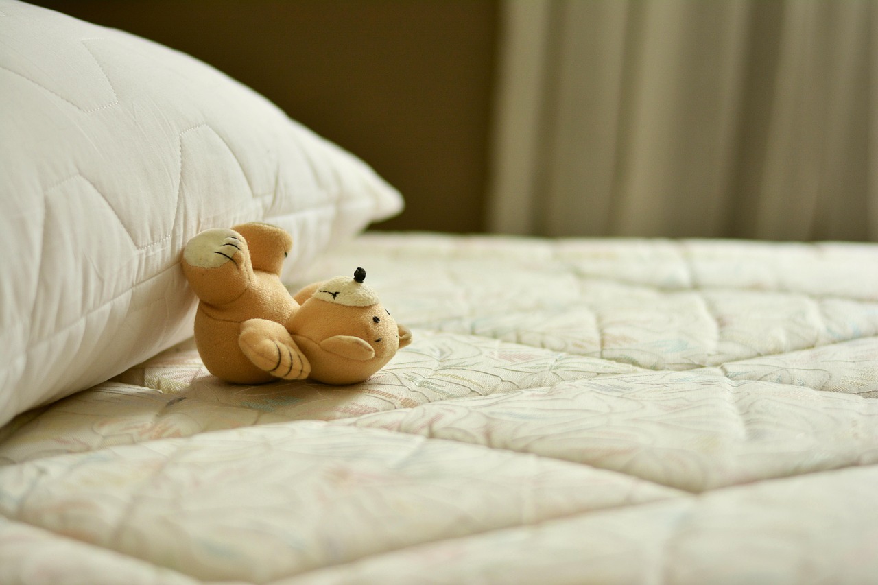Prehistoric Bedding That Transforms Sleep Spaces (image credits: pixabay)