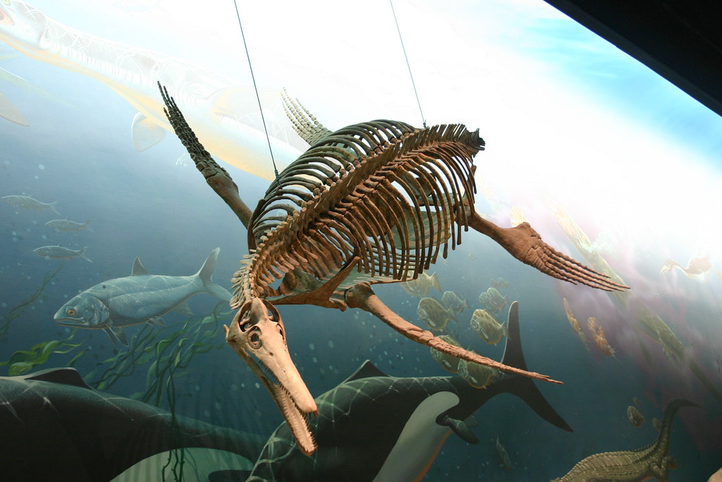 The Magnificent Marine Reptiles (image credits: flickr)