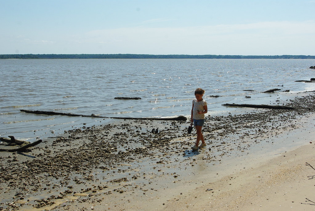 Conservation Challenges and Responsibilities (image credits: flickr)