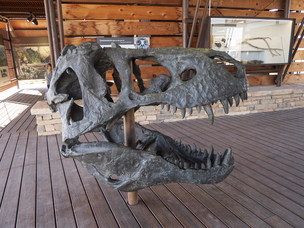 The Future of Fossil Discovery (image credits: flickr)