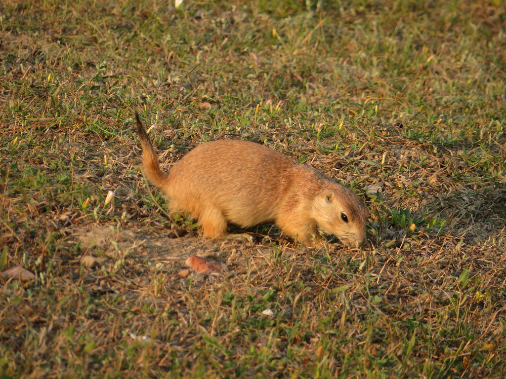 Temperature Regulation Masters (image credits: flickr)