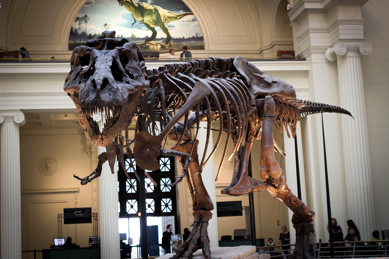 Fossil Discoveries That Continue to Amaze (image credits: pixabay)