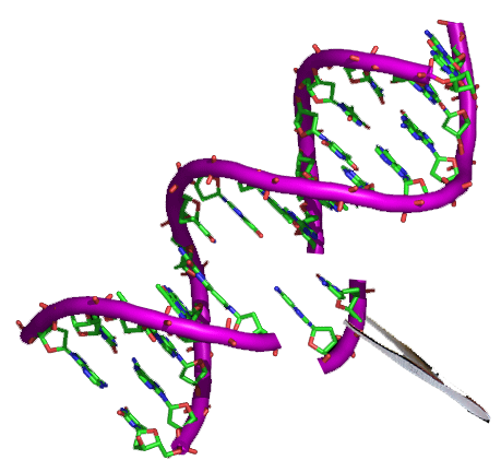 The Future of De-Extinction Technology (image credits: wikimedia)