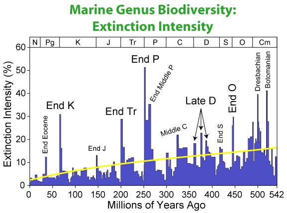 The Endless Cycle Continues (image credits: wikimedia)