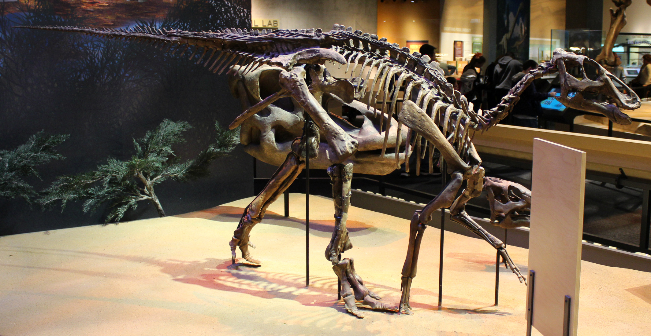 Polar Dinosaurs: Arctic Survivors (image credits: Flickr: Perot Museum, CC BY 2.0, https://commons.wikimedia.org/w/index.php?curid=31534457)