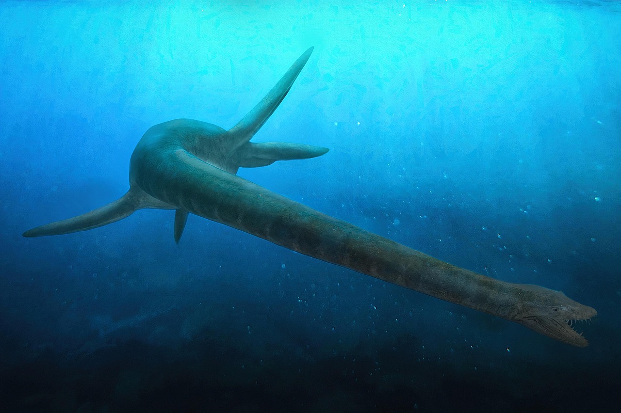 Ocean Thermal Cycles and Marine Reptiles (image credits: pixabay)