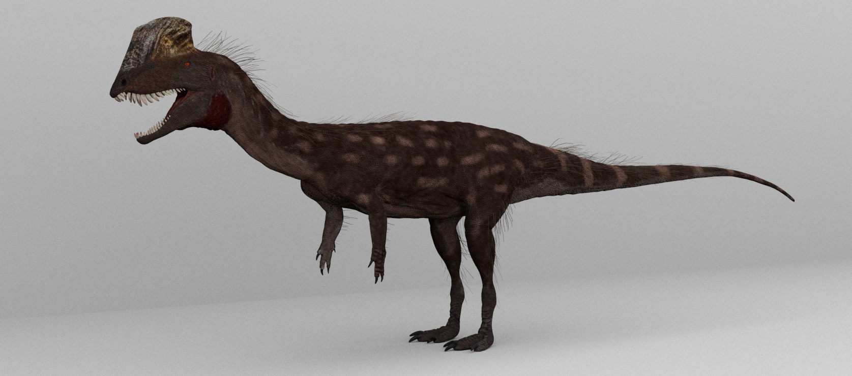 Dilophosaurus: The Frill-Necked Fiction (image credits: By Petr Menshikov (https://twitter.com/Petr75113553; https://vk.com/prehistoricproduction), CC BY-SA 4.0, https://commons.wikimedia.org/w/index.php?curid=99717901)