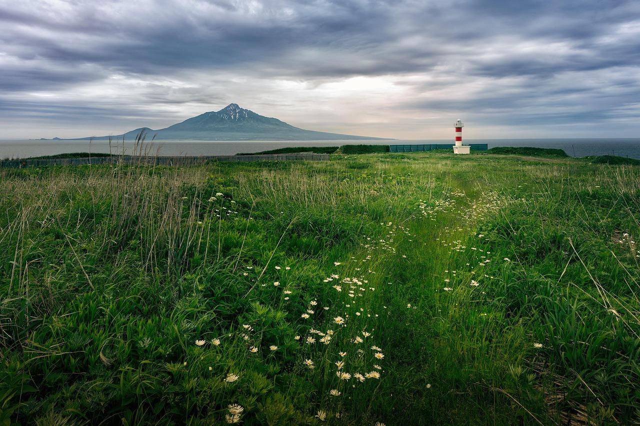 Island Gigantism and Floral Abundance (image credits: pixabay)