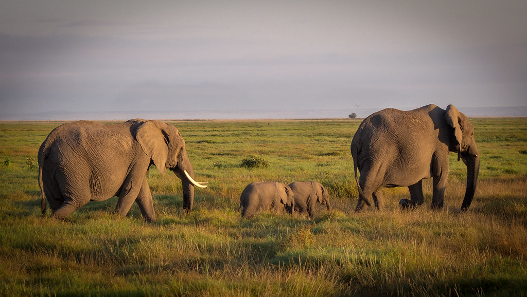 Modern Echoes of Ancient Partnerships (image credits: flickr)