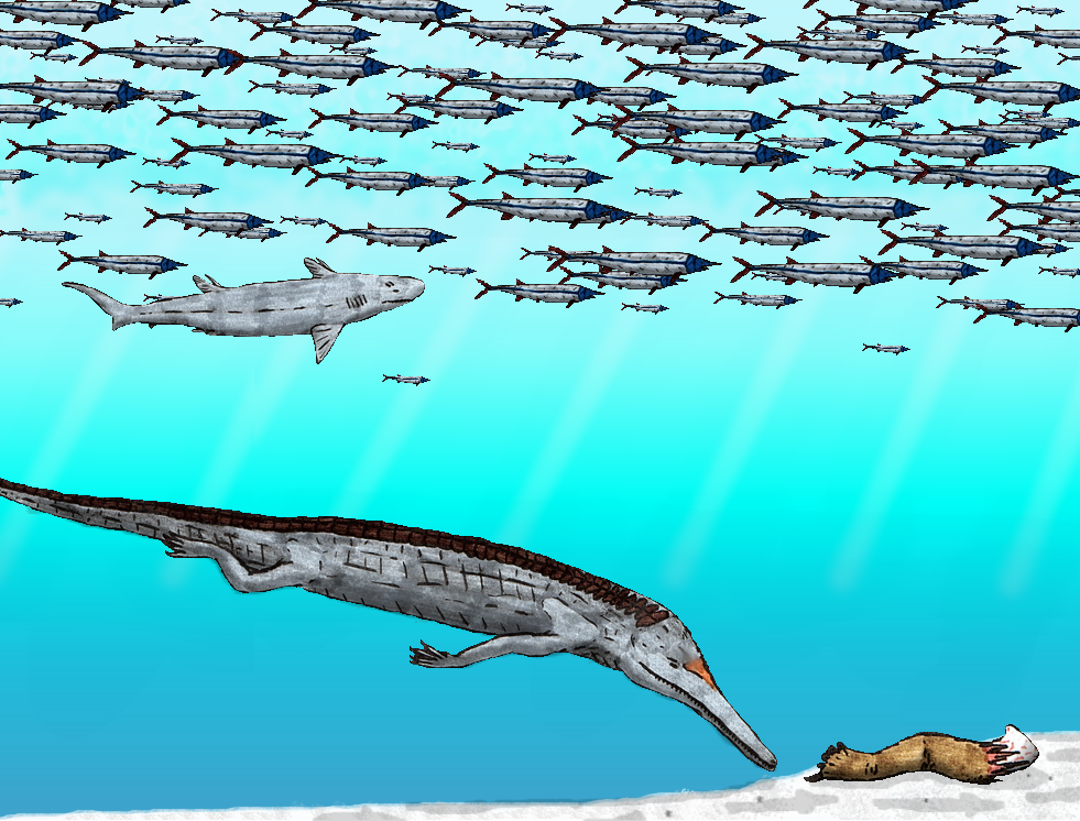 Hybodus: The Swiss Army Knife of Prehistoric Sharks (image credits: wikimedia)