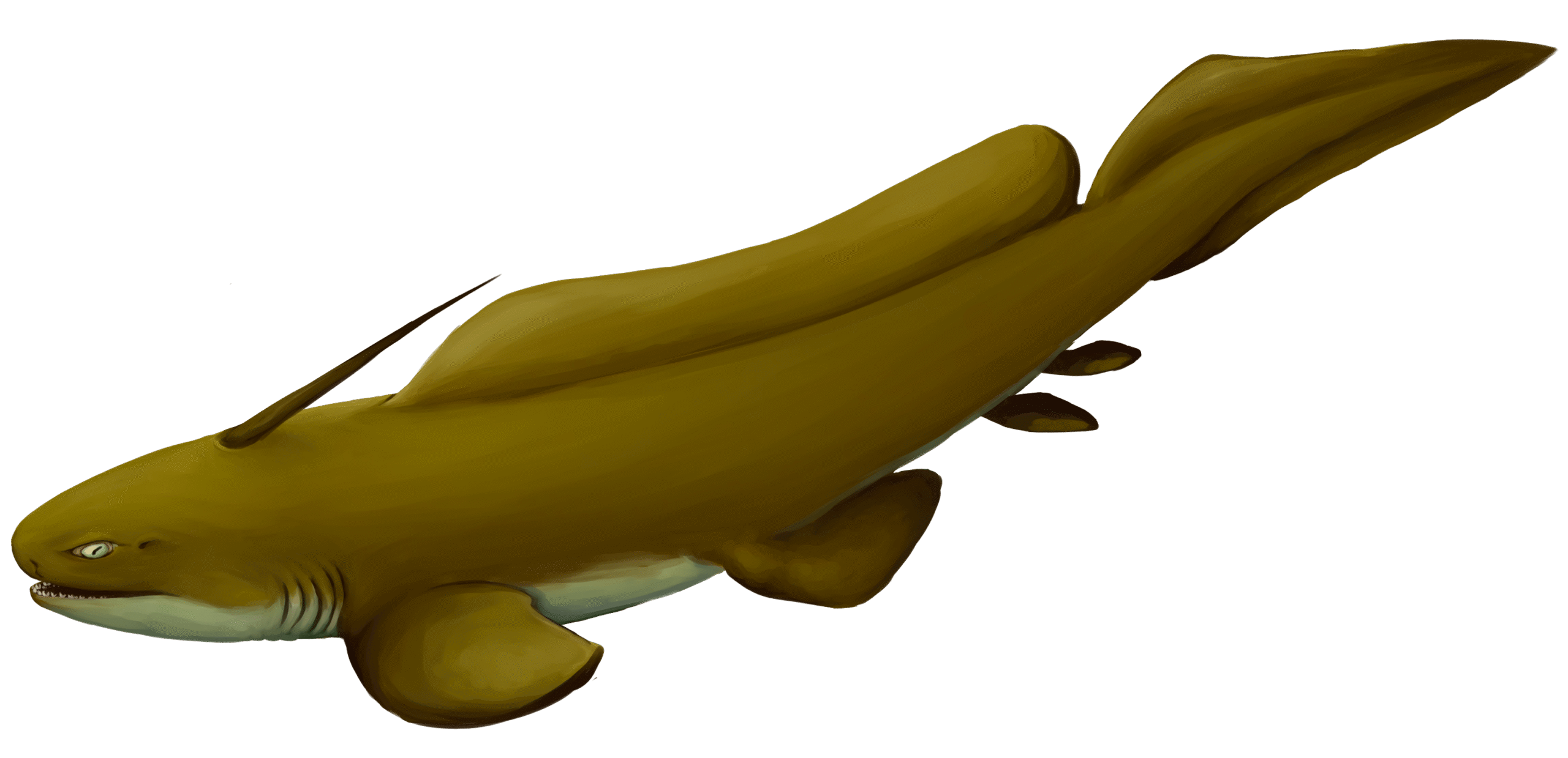 Xenacanthus: The Freshwater Invader (image credits: wikimedia)