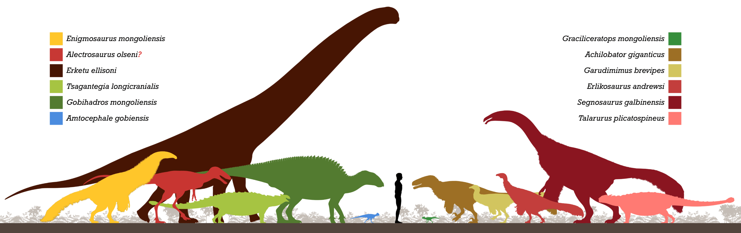 Specialized Feeding Strategies in Ice Ages (image credits: By PaleoNeolitic, CC BY-SA 4.0, https://commons.wikimedia.org/w/index.php?curid=80694451)